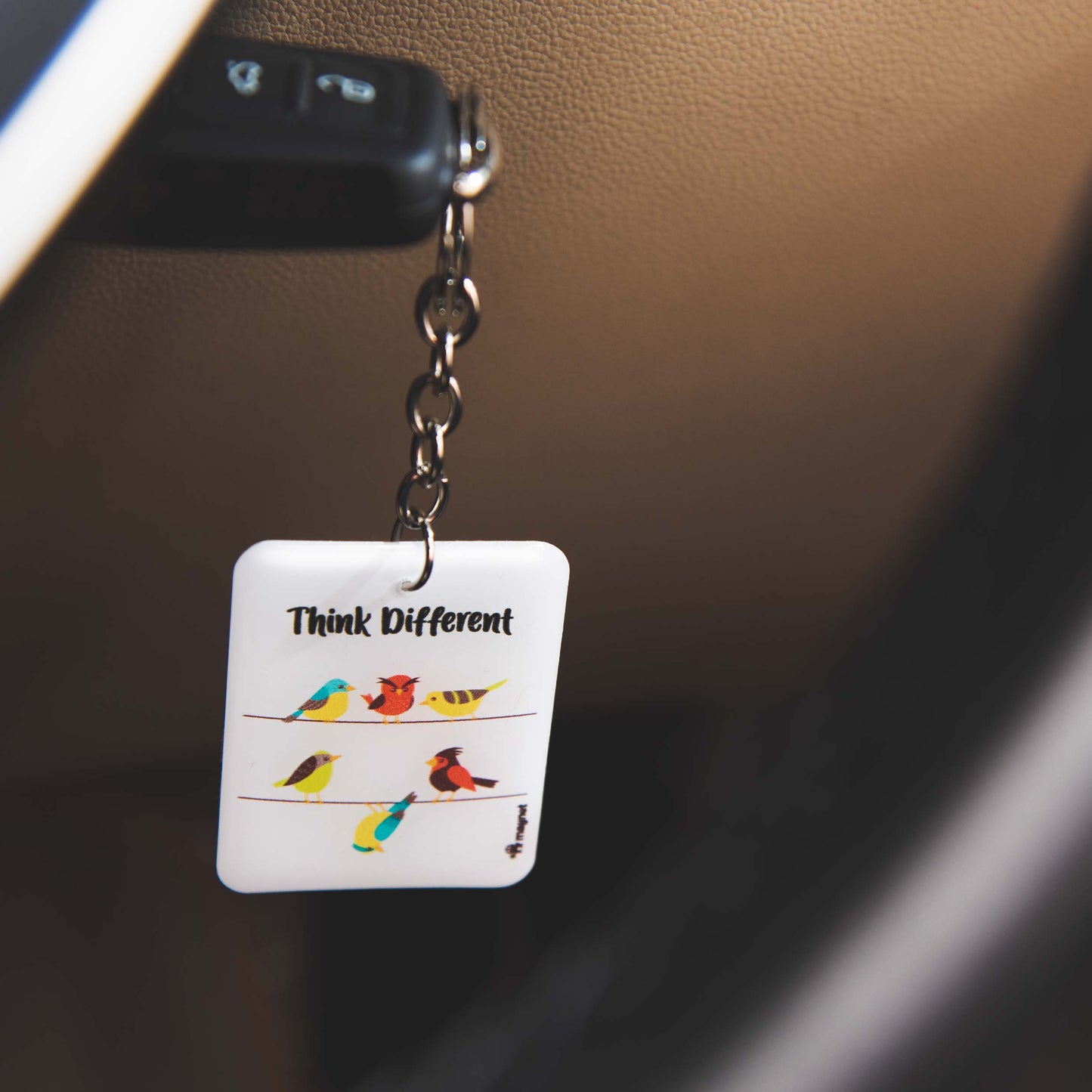 It's Different when you Think Different! - The Magnet Store