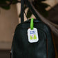 Great Pears makes a Great Pair BT 116
